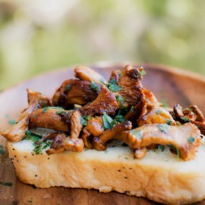 Fragranti Funghi | bio | Miscela di spezie | HOT EARTH