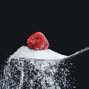 HOT EARTH Érythritol | bio | HOT EARTH