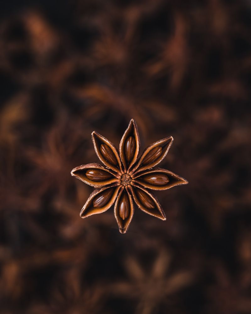 HOT EARTH Star Anise